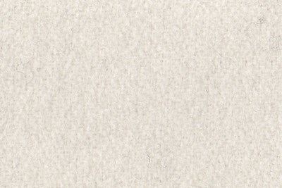 Plain Winter White
